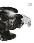 Cover: Suffering from Realness - Prestel