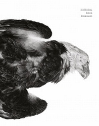 Enlarge image Cover: Suffering from Realness - Prestel