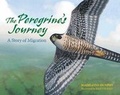 Cover: The Peregrine's Journey - Web of Life Children's Books