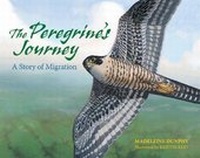 Enlarge image Cover: The Peregrine's Journey - Web of Life Children's Books