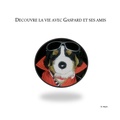 Cover: DZcouvre la vie avec Gaspard et ses amis - Lulu.com