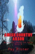 Cover: Amish Country Arson - Fay Risner