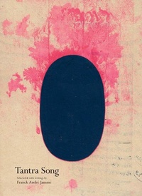 Enlarge image Cover: Tantra Song - Siglio Press