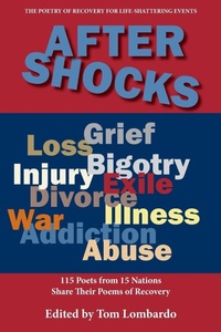 Enlarge image Cover: After Shocks - Press 53