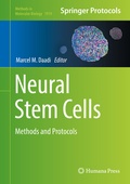 Bild: Neural Stem Cells - Humana
