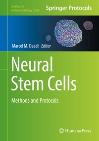 Abbildung von: Neural Stem Cells - Humana