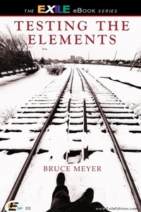 Enlarge image Cover: Testing the Elements - Exile Editions