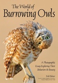 Cover: Burrowing Owls - Amherst Media