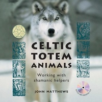 Abbildung von: Celtic Totem Animals - OH