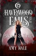 Cover: Blood & Iron - Ang'dora Productions, LLC