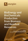 Cover: BioEnergy and BioChemicals Production from Biomass and Residual Resources - MDPI