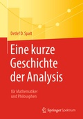 Cover: Eine kurze Geschichte der Analysis - Springer Spektrum