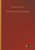 Cover: The Promise of American Life - Outlook Verlag