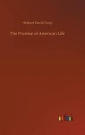 Cover: The Promise of American Life - Outlook Verlag