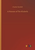 Cover: A Prisoner of The Khaleefa - Outlook Verlag