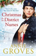 Cover: Christmas for the District Nurses - HarperCollins