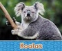 Cover: Koalas - Raintree