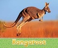 Cover: Kangaroos - Raintree