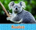 Cover: Australian Animals Pack A of 2 - Raintree