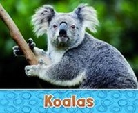 Enlarge image Cover: Australian Animals Pack A of 2 - Raintree