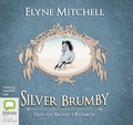 Cover: Dancing Brumby's Rainbow - Bolinda Audio Books