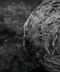Cover: Salt - A Way With Media