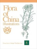 Cover: Flora of China Illustrations, Volume 8 - Brassicaceae through Saxifragaceae - Missouri Botanical Garden Press