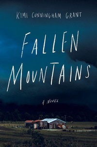 Enlarge image Cover: Fallen Mountains - Amberjack Publishing Company