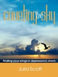 Cover: Coveting the Sky - Carepoint Ministry, Inc.