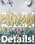 Cover: Details! - Sandstein Kultur