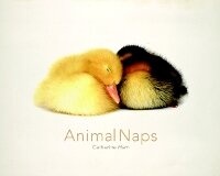 Enlarge image Cover: Animal Naps - EarlyLight Books, Incorporated