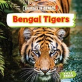 Cover: Bengal Tigers - Brown Bear Books Ltd
