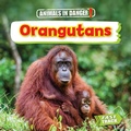Cover: Orangutans - Brown Bear Books Ltd