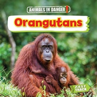 Enlarge image Cover: Orangutans - Brown Bear Books Ltd