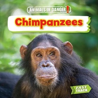 Enlarge image Cover: Chimpanzees - Brown Bear Books Ltd