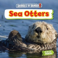 Enlarge image Cover: Sea Otters - Brown Bear Books Ltd