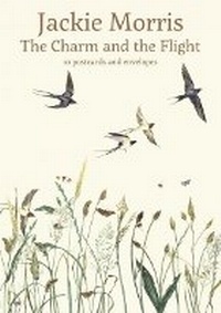 Enlarge image Cover: The Charm and the Flight Postcard Pack - Graffeg Limited
