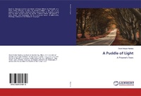 Abbildung von: A Puddle of Light - LAP Lambert Academic Publishing