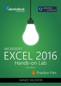 Bild: Excel 2016 Hands-On Lab - Babelcube Inc.