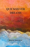 Cover: Quicksilver Dreams - Canelo Project
