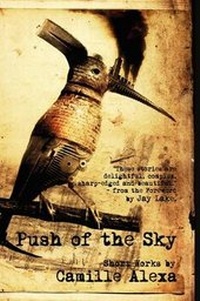 Enlarge image Cover: Push of the Sky - Hadley Rille Books