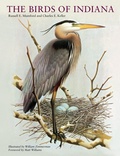 Cover: The Birds of Indiana - Indiana University Press