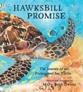 Cover: Hawksbill Promise - Tilbury House,U.S.