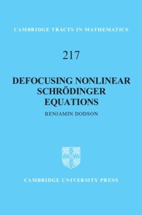 Abbildung von: Defocusing Nonlinear Schroedinger Equations - Cambridge University Press