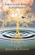 Cover: American River - Archway Publishing