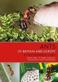 Cover: Ants of Britain and Europe - Bloomsbury Wildlife
