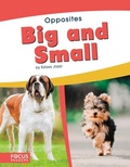 Cover: Big and Small - Focus Readers