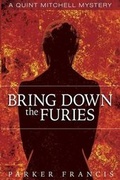 Cover: Bring Down the Furies - Windrusher Hall Press