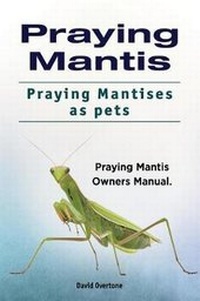 Abbildung von: Praying Mantis. Praying Mantises as Pets. Praying Mantis Owners Manual. - Zoodoo Publishing Praying Mantis