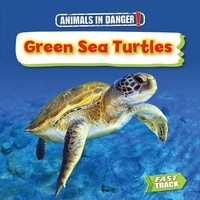 Enlarge image Cover: Green Sea Turtles - Brown Bear Books Ltd